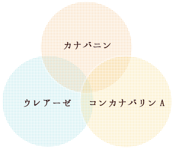 鹿児島県吉田地区のなた豆を使用。