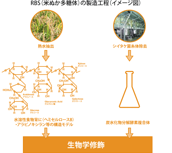 RBS（米ぬか多糖体）の製造工程
